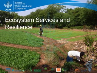 WLE – Presentation for Discussion with Donors and Partners – June 2013