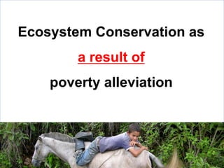 WLE – Presentation for Discussion with Donors and Partners – June 2013