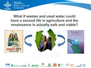 WLE – Presentation for Discussion with Donors and Partners – June 2013