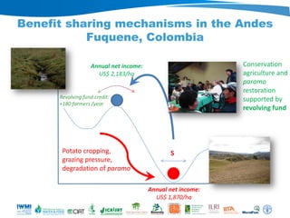 WLE – Presentation for Discussion with Donors and Partners – June 2013