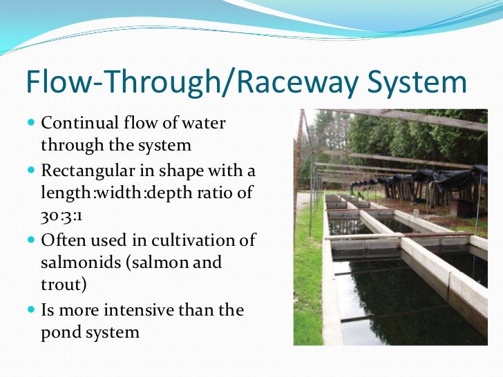 3b - gis-based analysis of aquaculture site selection