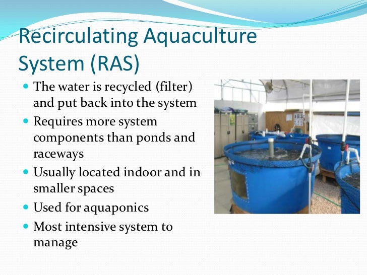 3b - gis-based analysis of aquaculture site selection