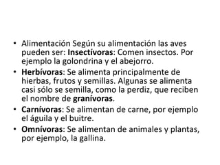 • Alimentación Según su alimentación las aves
pueden ser: Insectívoras: Comen insectos. Por
ejemplo la golondrina y el abejorro.
• Herbívoras: Se alimenta principalmente de
hierbas, frutos y semillas. Algunas se alimenta
casi sólo se semilla, como la perdiz, que reciben
el nombre de granívoras.
• Carnívoras: Se alimentan de carne, por ejemplo
el águila y el buitre.
• Omnívoras: Se alimentan de animales y plantas,
por ejemplo, la gallina.
 