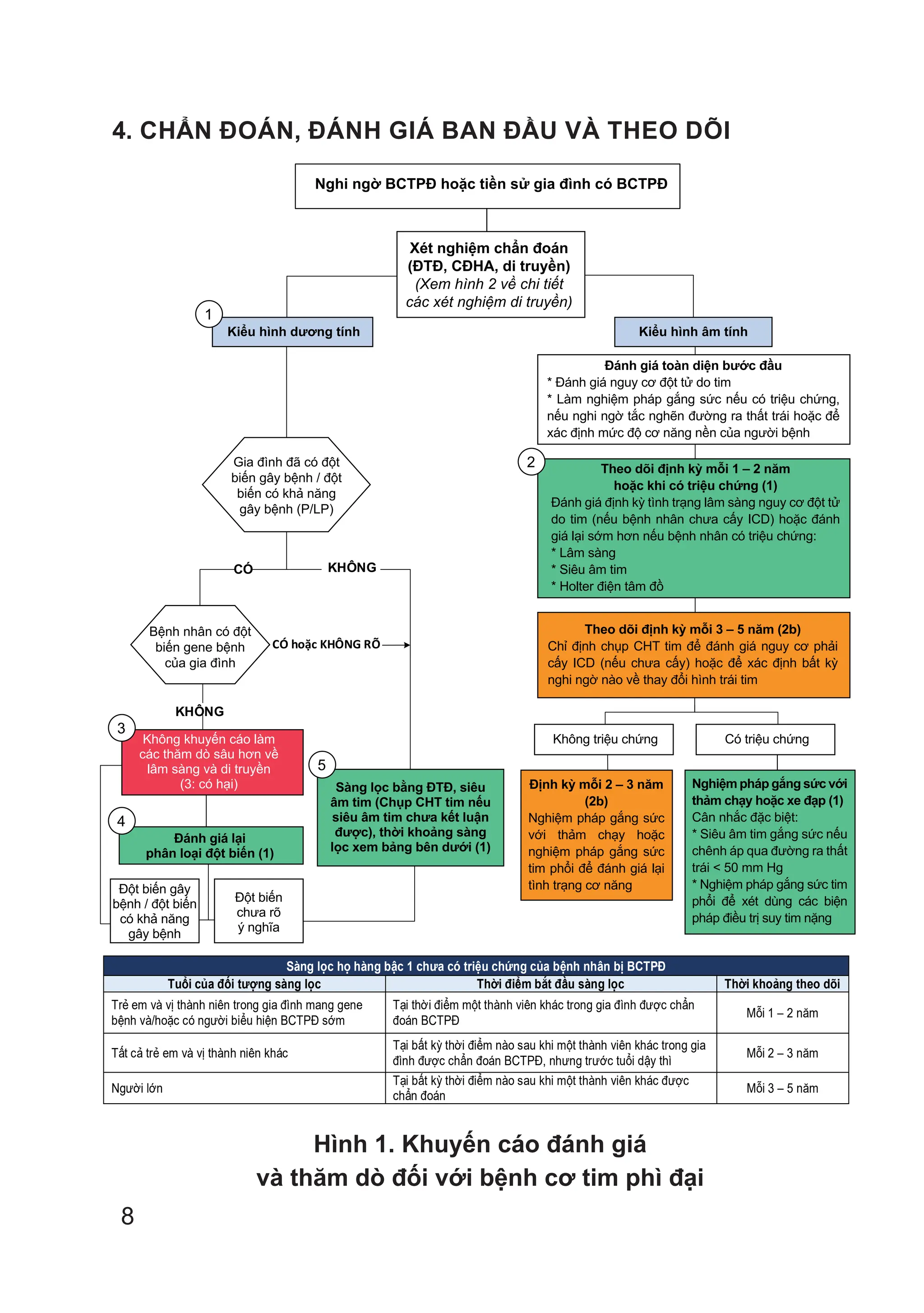 8
4. CHẨN ĐOÁN, ĐÁNH GIÁ BAN ĐẦU VÀ THEO DÕI
Xét nghiệm chẩn đoán
(ĐTĐ, CĐHA, di truyền)
(Xem hình 2 về chi tiết các
xét nghiệm di truyền)
Đánh giá toàn diện bước đầu
* Đánh giá nguy cơ đột tử do tim
* Làm nghiệm pháp gắng sức nếu có triệu
chứng, nếu nghi ngờ tắc nghẽn đường ra
thất trái hoặc để xác định mức độ cơ năng
nền của người bệnh
Theo dõi định kỳ mỗi 3 – 5 năm (2b)
Chỉ định chụp CHT tim để đánh giá nguy
cơ phải cấy ICD (nếu chưa cấy) hoặc để
xác định bất kỳ nghi ngờ nào về thay đổi
hình trái tim
Gia đình đã có đột biến
gây bệnh / đột biến có
khả năng gây bệnh
(P/LP)
Bệnh nhân có
đột biến gene
bệnh của gia đình
Không khuyến cáo làm các thăm dò
sâu hơn về lâm sàng và di truyền
(3: có hại)
Theo dõi định kỳ mỗi 1 – 2 năm hoặc khi
có triệu chứng (1)
Đánh giá định kỳ tình trạng lâm sàng nguy
cơ đột tử do tim (nếu bệnh nhân chưa cấy
ICD) hoặc đánh giá lại sớm hơn nếu bệnh
nhân có triệu chứng:
* Lâm sàng
* Siêu âm tim
* Holter điện tâm đồ
Sàng lọc bằng ĐTĐ, siêu âm tim
(Chụp CHT tim nếu siêu âm tim chưa
kết luận được), thời khoảng sàng
lọc xem bảng bên dưới (1)
Không triệu chứng
Đột biến chưa rõ
ý nghĩa
Đột biến gây bệnh /
đột biến có khả năng
gây bệnh
Kiểu hình âm tính
Kiểu hình dương tính
CÓ
Định kỳ mỗi 2 -3 năm (2b)
Nghiệm pháp gắng sức với
thảm chạy hoặc nghiệm pháp
gắng sức tim phổi để đánh
giá lại tình trạng cơ năng
Nghiệm pháp gắng sức với
thảm chạy hoặc xe đạp (1)
Cân nhắc đặc biệt:
* Siêu âm tim gắng sức nếu
chênh áp qua đường ra thất
trái < 50 mm Hg
* Nghiệm pháp gắng sức tim
phổi để xét dùng các biện
pháp điều trị suy tim nặng
Có triệu chứng
Nghi ngờ BCTPĐ hoặc tiền sử gia đình có BCTPĐ
KHÔNG
KHÔNG
CÓ hoặc KHÔNG RÕ
Theo dõi định kỳ mỗi 3 – 5 năm (2b)
Chỉ định chụp CHT tim để đánh giá nguy cơ phải
cấy ICD (nếu chưa cấy) hoặc để xác định bất kỳ
nghi ngờ nào về thay đổi hình trái tim
Định kỳ mỗi 2 – 3 năm
(2b)
Nghiệm pháp gắng sức
với thảm chạy hoặc
nghiệm pháp gắng sức
tim phổi để đánh giá lại
tình trạng cơ năng
Nghiệm pháp gắng sức với
thảm chạy hoặc xe đạp (1)
Cân nhắc đặc biệt:
* Siêu âm tim gắng sức nếu
chênh áp qua đường ra thất
trái < 50 mm Hg
* Nghiệm pháp gắng sức tim
phổi để xét dùng các biện
pháp điều trị suy tim nặng
Sàng lọc họ hàng bậc 1 chưa có triệu chứng của bệnh nhân bị BCTPĐ
Tuổi của đối tượng sàng lọc Thời điểm bắt đầu sàng lọc Thời khoảng theo dõi
Trẻ em và vị thành niên trong gia đình mang gene
bệnh và/hoặc có người biểu hiện BCTPĐ sớm
Tại thời điểm một thành viên khác trong gia đình được chẩn
đoán BCTPĐ
Mỗi 1 – 2 năm
Tất cả trẻ em và vị thành niên khác
Tại bất kỳ thời điểm nào sau khi một thành viên khác trong gia
đình được chẩn đoán BCTPĐ, nhưng trước tuổi dậy thì
Mỗi 2 – 3 năm
Người lớn
Tại bất kỳ thời điểm nào sau khi một thành viên khác được
chẩn đoán
Mỗi 3 – 5 năm
Xét nghiệm chẩn đoán
(ĐTĐ, CĐHA, di truyền)
(Xem hình 2 về chi tiết
các xét nghiệm di truyền)
Kiểu hình dương tính Kiểu hình âm tính
1
Gia đình đã có đột
biến gây bệnh / đột
biến có khả năng
gây bệnh (P/LP)
Bệnh nhân có đột
biến gene bệnh
của gia đình
Không khuyến cáo làm
các thăm dò sâu hơn về
lâm sàng và di truyền
(3: có hại)
3
2
4
5
Đánh giá lại
phân loại đột biến (1)
Sàng lọc bằng ĐTĐ, siêu
âm tim (Chụp CHT tim nếu
siêu âm tim chưa kết luận
được), thời khoảng sàng
lọc xem bảng bên dưới (1)
Đột biến gây
bệnh / đột biến
có khả năng
gây bệnh
Đột biến
chưa rõ
ý nghĩa
Không triệu chứng Có triệu chứng
Đánh giá toàn diện bước đầu
* Đánh giá nguy cơ đột tử do tim
* Làm nghiệm pháp gắng sức nếu có triệu chứng,
nếu nghi ngờ tắc nghẽn đường ra thất trái hoặc để
xác định mức độ cơ năng nền của người bệnh
Theo dõi định kỳ mỗi 1 – 2 năm
hoặc khi có triệu chứng (1)
Đánh giá định kỳ tình trạng lâm sàng nguy cơ đột tử
do tim (nếu bệnh nhân chưa cấy ICD) hoặc đánh
giá lại sớm hơn nếu bệnh nhân có triệu chứng:
* Lâm sàng
* Siêu âm tim
* Holter điện tâm đồ
Hình 1. Khuyến cáo đánh giá
và thăm dò đối với bệnh cơ tim phì đại
 