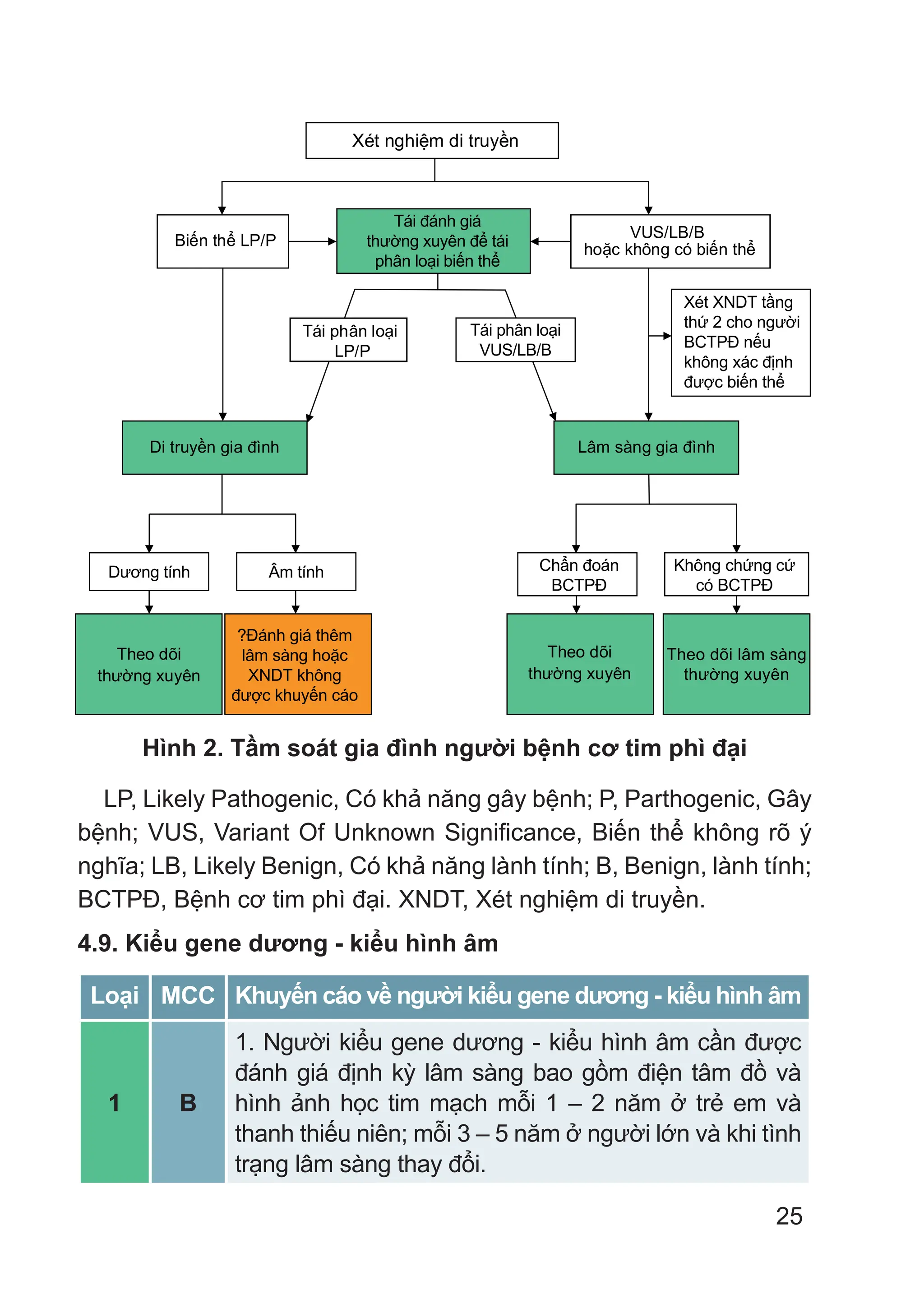 25
Biến thể LP/P
Xét nghiệm di truyền
VUS/LB/B
hoặc không có biến thể
Tái phân loại
LP/P
Tái phân loại
VUS/LB/B
Tái đánh giá thường xuyên
để tái phân loại biến thể
Di truyền gia đình Lâm sàng gia đình
Dương tính Âm tính
Theo dõi
thường xuyên
Chẩn đoán
BCTPĐ
Không chứng cứ
có BCTPĐ
X
xác định được biến thể
Xét XNDT tầng
thứ 2 cho người
BCTPĐ nếu
không xác định
được biến thể
Tái đánh giá
thường xuyên để tái
phân loại biến thể
Tái phân loại
VUS/LB/B
Dương tính Âm tính
Theo dõi Theo dõi lâm sàng
thường xuyên
thường xuyên
?Đánh giá thêm
lâm sàng hoặc
XNDT không
được khuyến cáo
Chẩn đoán
BCTPĐ
Không chứng cứ
có BCTPĐ
Hình 2. Tầm soát gia đình người bệnh cơ tim phì đại
LP, Likely Pathogenic, Có khả năng gây bệnh; P, Parthogenic, Gây
bệnh; VUS, Variant Of Unknown Significance, Biến thể không rõ ý
nghĩa; LB, Likely Benign, Có khả năng lành tính; B, Benign, lành tính;
BCTPĐ, Bệnh cơ tim phì đại. XNDT, Xét nghiệm di truyền.
4.9. Kiểu gene dương - kiểu hình âm
Loại MCC Khuyến cáo về người kiểu gene dương - kiểu hình âm
1 B
1. Người kiểu gene dương - kiểu hình âm cần được
đánh giá định kỳ lâm sàng bao gồm điện tâm đồ và
hình ảnh học tim mạch mỗi 1 – 2 năm ở trẻ em và
thanh thiếu niên; mỗi 3 – 5 năm ở người lớn và khi tình
trạng lâm sàng thay đổi.
 