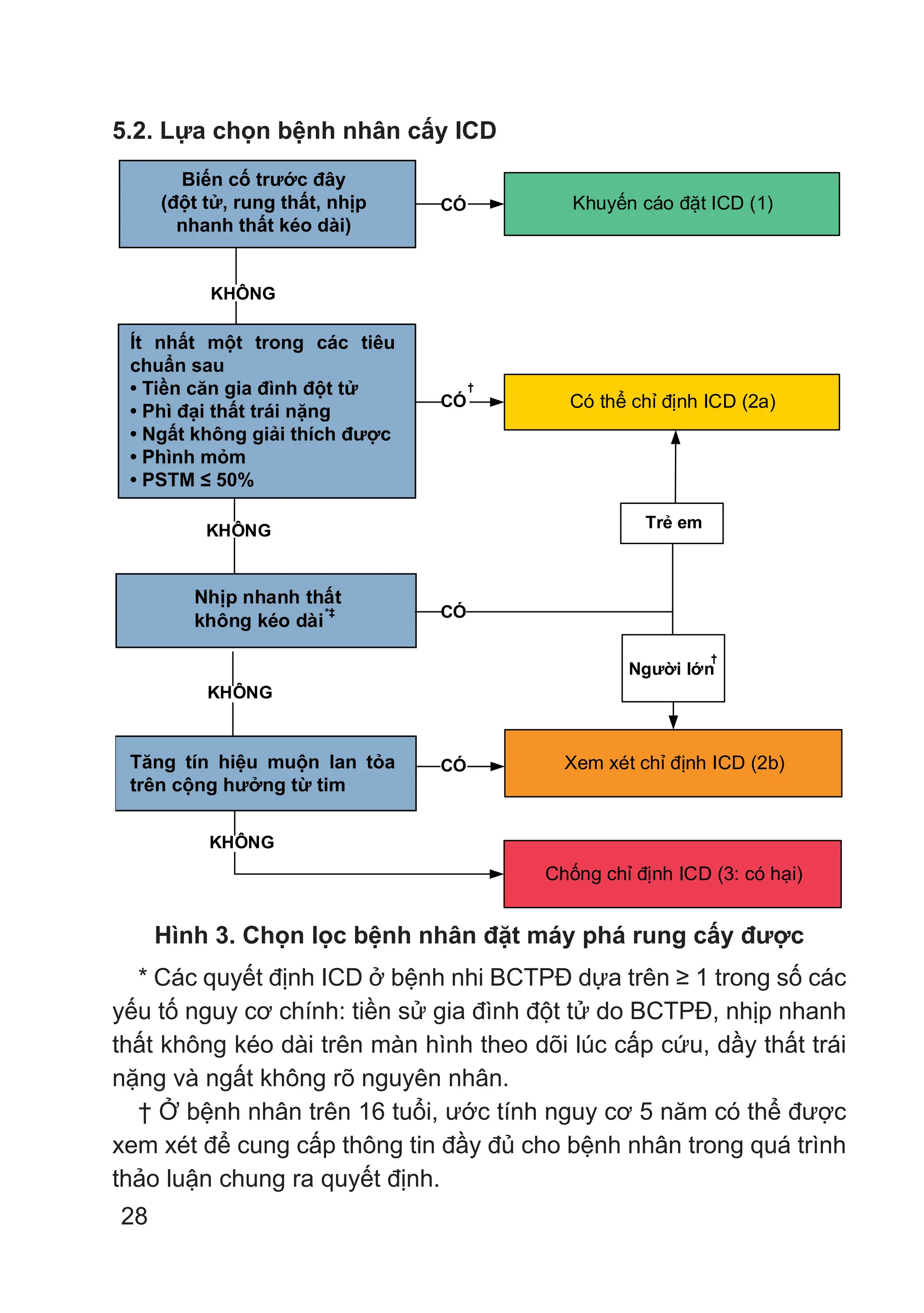 28
5.2. Lựa chọn bệnh nhân cấy ICD
KHÔNG
KHÔNG
KHÔNG
CÓ
†
KHÔNG
Trẻ em
Người lớn
†
Có thể chỉ định ICD (2a)
Khuyến cáo đặt ICD (1)
Ít nhất một trong các
tiêu chuẩn sau
Tiền căn gia đình đột tử
Phì đại thất trái nặng
Ngất không giải thích được
Phình mỏm
PSTM ≤ 50%
Nhịp nhanh thất
không kéo dài
*‡
Xem xét chỉ định ICD (2b)
Chống chỉ định ICD (3: có hại)
CÓ
CÓ
CÓ
Biến cố trước đây
(đột tử, rung thất, nhịp
nhanh thất kéo dài)
Tăng tín hiệu muộn lan tỏa
trên cộng hưởng từ tim
Ít nhất một trong các tiêu
chuẩn sau
• Tiền căn gia đình đột tử
• Phì đại thất trái nặng
• Ngất không giải thích được
• Phình mỏm
• PSTM ≤ 50%
Hình 3. Chọn lọc bệnh nhân đặt máy phá rung cấy được
* Các quyết định ICD ở bệnh nhi BCTPĐ dựa trên ≥ 1 trong số các
yếu tố nguy cơ chính: tiền sử gia đình đột tử do BCTPĐ, nhịp nhanh
thất không kéo dài trên màn hình theo dõi lúc cấp cứu, dầy thất trái
nặng và ngất không rõ nguyên nhân.
† Ở bệnh nhân trên 16 tuổi, ước tính nguy cơ 5 năm có thể được
xem xét để cung cấp thông tin đầy đủ cho bệnh nhân trong quá trình
thảo luận chung ra quyết định.
 