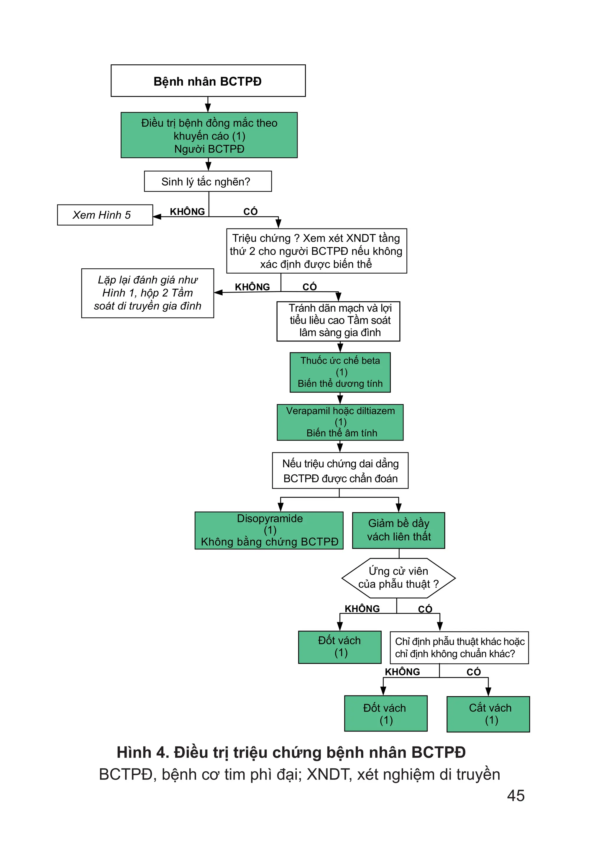 45
Bệnh nhân BCTPĐ
Điều trị bệnh đồng mắc
theo khuyến cáo (1)
Người BCTPĐ
Xem Hình 5
Thuốc ức chế beta
(1)
Biến thể dương tính
Verapamil hoặc diltiazem
(1)
Biến thể âm tính
Disopyramide
(1)
Không bằng chứng BCTPĐ
Giảm bề dầy
vách liên thất
Đốt vách
(1)
Đốt vách
(1)
Cắt vách
(1)
KHÔNG CÓ
KHÔNG CÓ
Ứng cử viên
của phẫu thuật ?
CÓ
CÓ
KHÔNG
KHÔNG
Triệu chứng ? Xem xét XNDT tầng
thứ 2 cho người BCTPĐ nếu không
xác định được biến thể
Lặp lại đánh giá như
Hình 1, hộp 2 Tầm
soát di truyền gia đình
Chỉ định phẫu thuật khác hoặc
chỉ định không chuẩn khác?
Tránh dãn mạch và lợi
tiểu liều cao Tầm soát
lâm sàng gia đình
Nếu triệu chứng dai dẳng
BCTPĐ được chẩn đoán
Điều trị bệnh đồng mắc theo
khuyến cáo (1)
Người BCTPĐ
Sinh lý tắc nghẽn?
Hình 4. Điều trị triệu chứng bệnh nhân BCTPĐ
BCTPĐ, bệnh cơ tim phì đại; XNDT, xét nghiệm di truyền
 