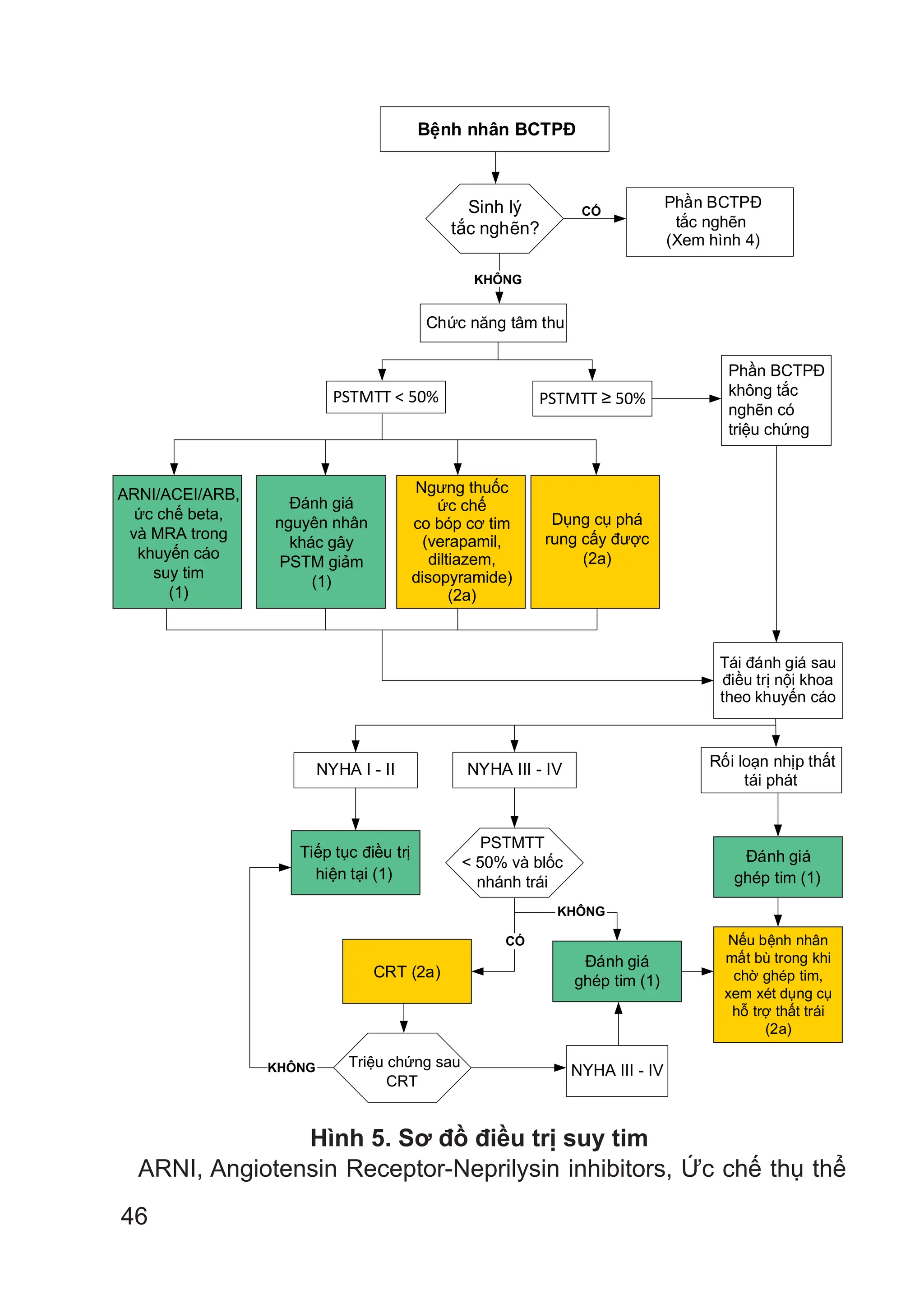 46
Bệnh nhân BCTPĐ
Phần BCTPĐ
tắc nghẽn
(Xem hình 4)
Chức năng tâm thu
PSTMTT < 50% PSTMTT ≥ 50%
Tái đánh giá sau
điều trị nội khoa
theo khuyến cáo
Rối loạn nhịp thất
tái phát
NYHA III - IV
NYHA I - II
Tiếp tục điều trị
hiện tại (1)
NYHA III - IV
CRT (2a)
Đánh giá
ghép tim (1)
Đánh giá
ghép tim (1)
Nếu bệnh nhân
mất bù trong khi
chờ ghép tim,
xem xét dụng cụ
hỗ trợ thất trái
(2a)
Sinh lý
tắc nghẽn?
CÓ
KHÔNG
Triệu chứng sau
CRT
CÓ
KHÔNG
KHÔNG
Phần BCTPĐ
không tắc
nghẽn có
triệu chứng
PSTMTT
< 50% và blốc
nhánh trái
Dụng cụ phá
rung cấy được
(2a)
Ngưng thuốc
ức chế
co bóp cơ tim
(verapamil,
diltiazem,
disopyramide)
(2a)
Đánh giá
nguyên nhân
khác gây
PSTM giảm
(1)
ARNI/ACEI/ARB,
ức chế beta,
và MRA trong
khuyến cáo
suy tim
(1)
Hình 5. Sơ đồ điều trị suy tim
ARNI, Angiotensin Receptor-Neprilysin inhibitors, Ức chế thụ thể
 
