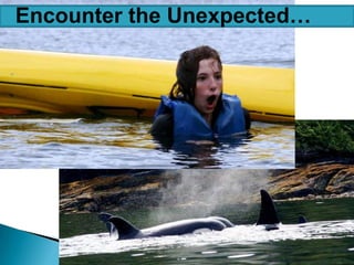 Encounter the Unexpected…