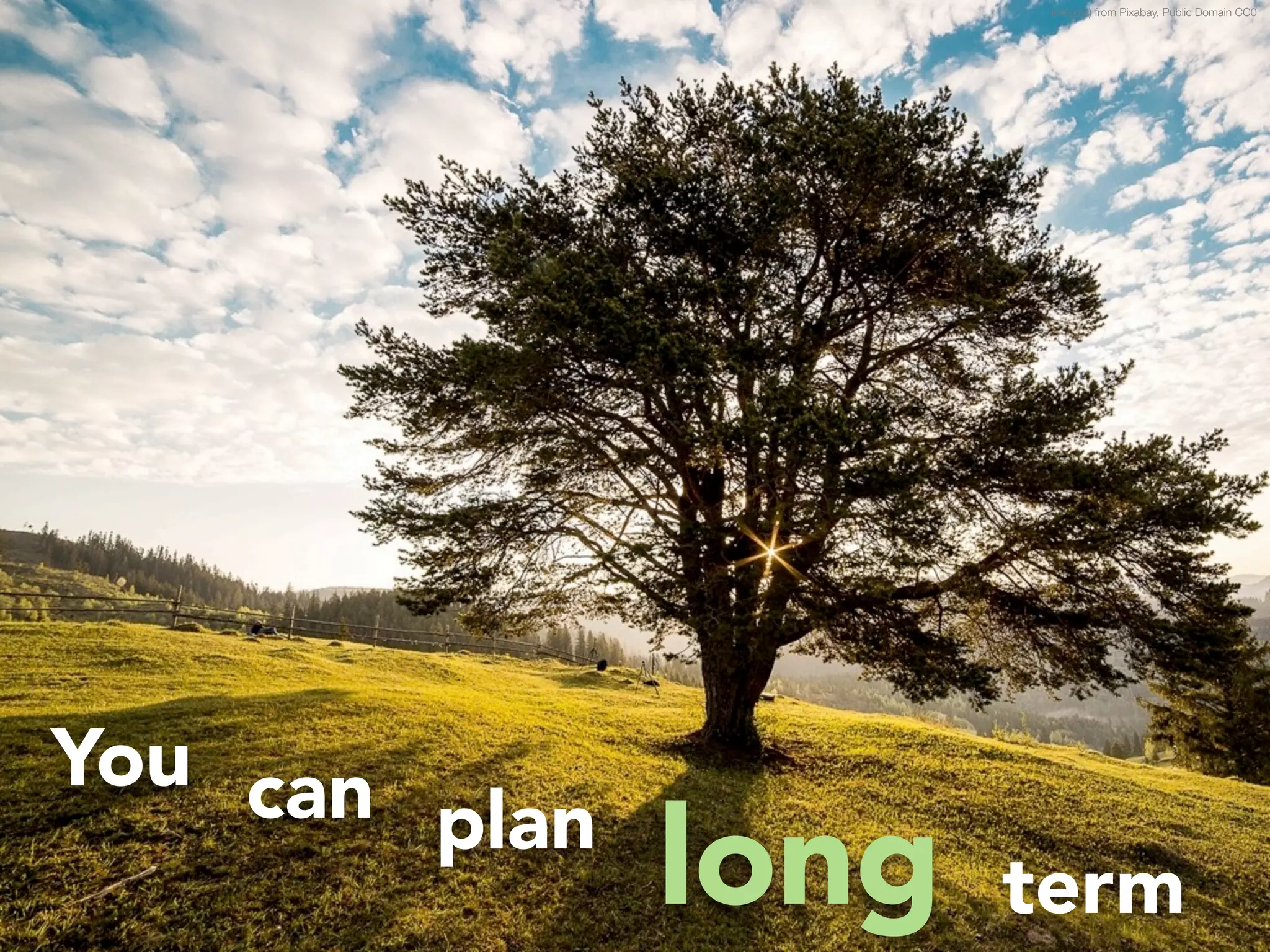 Image(s) from Pixabay, Public Domain CC0 
You can plan long term 
 