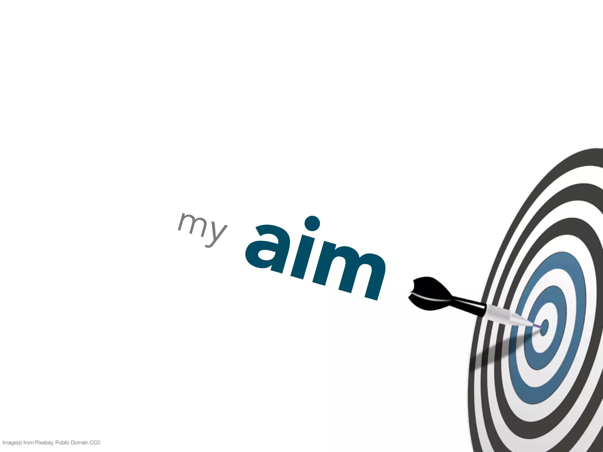aim my 
Image(s) from Pixabay, Public Domain CC0 
 