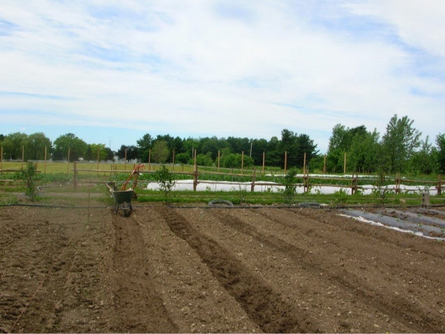 Making a Living Market Gardening on 1.5 Acres Presented by Jean-Marti…