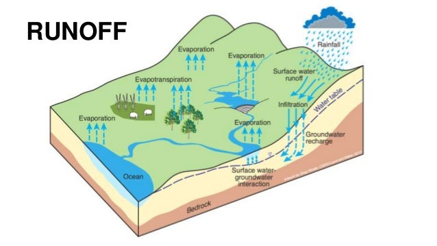 Runoff & Flood Frequency Analysis