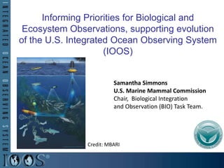 Informing Priorities for Biological and
Ecosystem Observations, supporting evolution
of the U.S. Integrated Ocean Observing System
(IOOS)
Z
Samantha Simmons
U.S. Marine Mammal Commission
Chair, Biological Integration
and Observation (BIO) Task Team.
Credit: MBARI
 