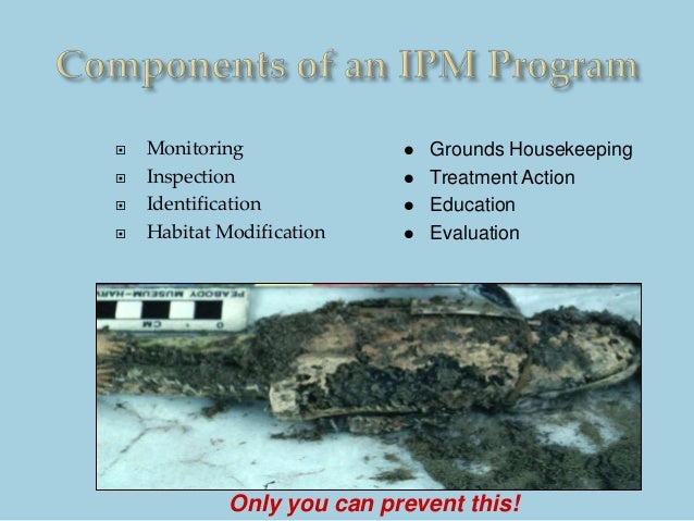 What Did I Just Step On?!? Integrated Pest Management