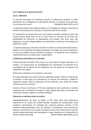 2.2.2. Impacto en la muerte neuronal.
2.2.2.1. Definición
El consumo persistente de marihuana durante la adolescencia produce un daño
permanente en la inteligencia, la capacidad de atención y la memoria de las personas
una vez que estas crecen. (Mandeline Meier.2012; p.p.11)
La marihuana puede causar daños duraderos en la inteligencia y afectar la atención y la
memoria de una persona si comienza a consumirse antes de los 18 años
En comparación con las personas que nunca habían consumido cannabis, los que eran
usuarios diarios desde antes de los 17 años tenían un recorrido de 18 veces más
posibilidades de convertirse en dependientes de cannabis. Eran ocho veces más
propensos a usar otras drogas ilegales en la edad adulta, y siete veces más propenso al
intento de suicidio.
La experta explica que antes de los 18 años el cerebro se está desarrollando todavía y
puede ser más vulnerable a los daños que provocan las drogas, por lo que la marihuana,
en este caso, también tiene un efecto en los jóvenes. "La marihuana no es inofensiva,
especialmente para los adolescentes", apunta Meier
La Marihuana Hace Blanco en el Cerebro
El blanco principal del delta-9 THC, como lo es el de todas las drogas abusadas, es el
cerebro, y en consecuencia los investigadores han concentrado sus esfuerzos en la
investigación de los efectos de los compuestos de esta planta en los órganos más
importantes del cuerpo.
Efectos de la marihuana en la memoria a corto plazo
El estudio publicado en la revista Cell tiene importancia porque refuerza la idea de que
la memoria a corto plazo se ve afectada por el consumo de marihuana. También es
importante porque refleja la importancia de los astrocitos, unas células del sistema
nervioso que no son neuronas.
Cuando se fuma la marihuana, el THC pasa rápidamente de los pulmones al torrente
sanguíneo, que lo transporta al cerebro y a otros órganos del cuerpo. Se absorbe más
lentamente cuando se ingiere en comidas o bebidas.
Efectos de la marihuana sobre el cerebro
Independientemente de cómo se ingiera, el THC actúa sobre sitios moleculares
específicos en las células del cerebro llamados receptores de cannabinoides. Estos
receptores normalmente son activados por sustancias químicas similares al THC
llamadas endocannabinoides como, por ejemplo, la anandamida. Estas sustancias se
producen naturalmente en el cuerpo y son parte de una red de comunicación neural (el
sistema endocannabinoide) que desempeña un papel importante en el desarrollo y la
función normal del cerebro. (Andrea Méndez Molla.2010; p.p.11)
 