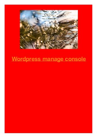 Wordpress manage console
 