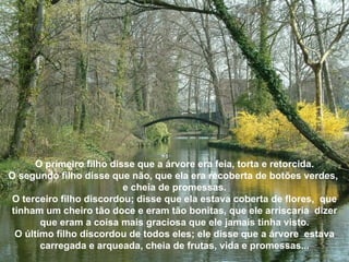 O primeiro filho disse que a árvore era feia, torta e retorcida. O segundo filho disse que não, que ela era recoberta de botões verdes,  e cheia de promessas. O terceiro filho discordou; disse que ela estava coberta de flores,  que tinham um cheiro tão doce e eram tão bonitas, que ele arriscaria  dizer que eram a coisa mais graciosa que ele jamais tinha visto. O último filho discordou de todos eles; ele disse que a árvore  estava carregada e arqueada, cheia de frutas, vida e promessas... 