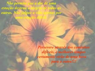 Não permita que a dor de uma estação destrua a alegria de todas as outras. Não julgue a vida apenas por uma estação difícil. Persevere através dos caminhos difíceis, e melhores tempos certamente virão de uma hora  para a outra!!! 
