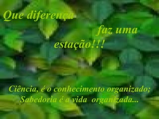 Que diferença  faz uma estação!!! Ciência, é o conhecimento organizado; Sabedoria é a vida  organizada... 
