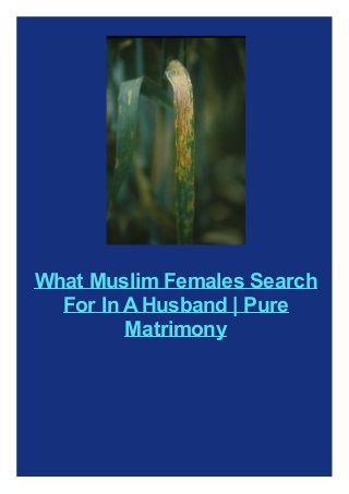 What Muslim Females Search
For In AHusband | Pure
Matrimony
 