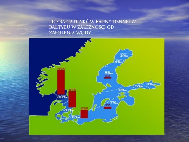 W Morzu Bałtyckim