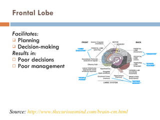 Frontal Lobe Facilitates:  Planning Decision-making Results in: Poor decisions Poor management Source:  http://www.thecuriousmind.com/brain-cm.html   