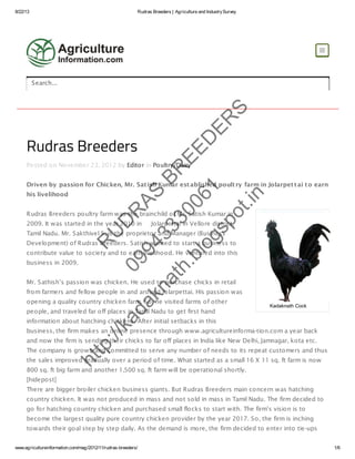 8/22/13 Rudras Breeders | Agriculture and IndustrySurvey
www.agricultureinformation.com/mag/2012/11/rudras-breeders/ 1/6
Sakthivel S
Rudras Breeders
Posted on November 23, 2012 by Editor in Poultry/Dairy
Driven by passion for Chicken, Mr. Satish Kumar established poultry farm in Jolarpettai to earn
his livelihood
Rudras Breeders poultry farm was the brainchild of Mr. Satish Kumar in
2009. It was started in the year 2010 in Jolarpettai in Vellore district,
Tamil Nadu. Mr. Sakthivel S, is the proprietor and Manager (Business
Development) of Rudras Breeders. Satish wanted to start a business to
contribute value to society and to earn livelihood. He ventured into this
business in 2009.
Mr. Sathish’s passion was chicken. He used to purchase chicks in retail
from farmers and fellow people in and around Jolarpettai. His passion was
opening a quality country chicken farm. So, he visited farms of other
people, and traveled far off places in Tamil Nadu to get first hand
information about hatching chickens. After initial setbacks in this
business, the firm makes an online presence through www.agricultureinforma-tion.com a year back
and now the firm is sending their chicks to far off places in India like New Delhi, Jamnagar, kota etc.
The company is grown and committed to serve any number of needs to its repeat customers and thus
the sales improved gradually over a period of time. What started as a small 16 X 11 sq. ft farm is now
800 sq. ft big farm and another 1,500 sq. ft farm will be operational shortly.
[hidepost]
There are bigger broiler chicken business giants. But Rudras Breeders main concern was hatching
country chicken. It was not produced in mass and not sold in mass in Tamil Nadu. The firm decided to
go for hatching country chicken and purchased small flocks to start with. The firm’s vision is to
become the largest quality pure country chicken provider by the year 2017. So, the firm is inching
towards their goal step by step daily. As the demand is more, the firm decided to enter into tie-ups

Search...
Kadaknath Cock
R
U
D
R
AS
BR
EED
ER
S
09943330061
http://kadaknath.blogspot.in
 