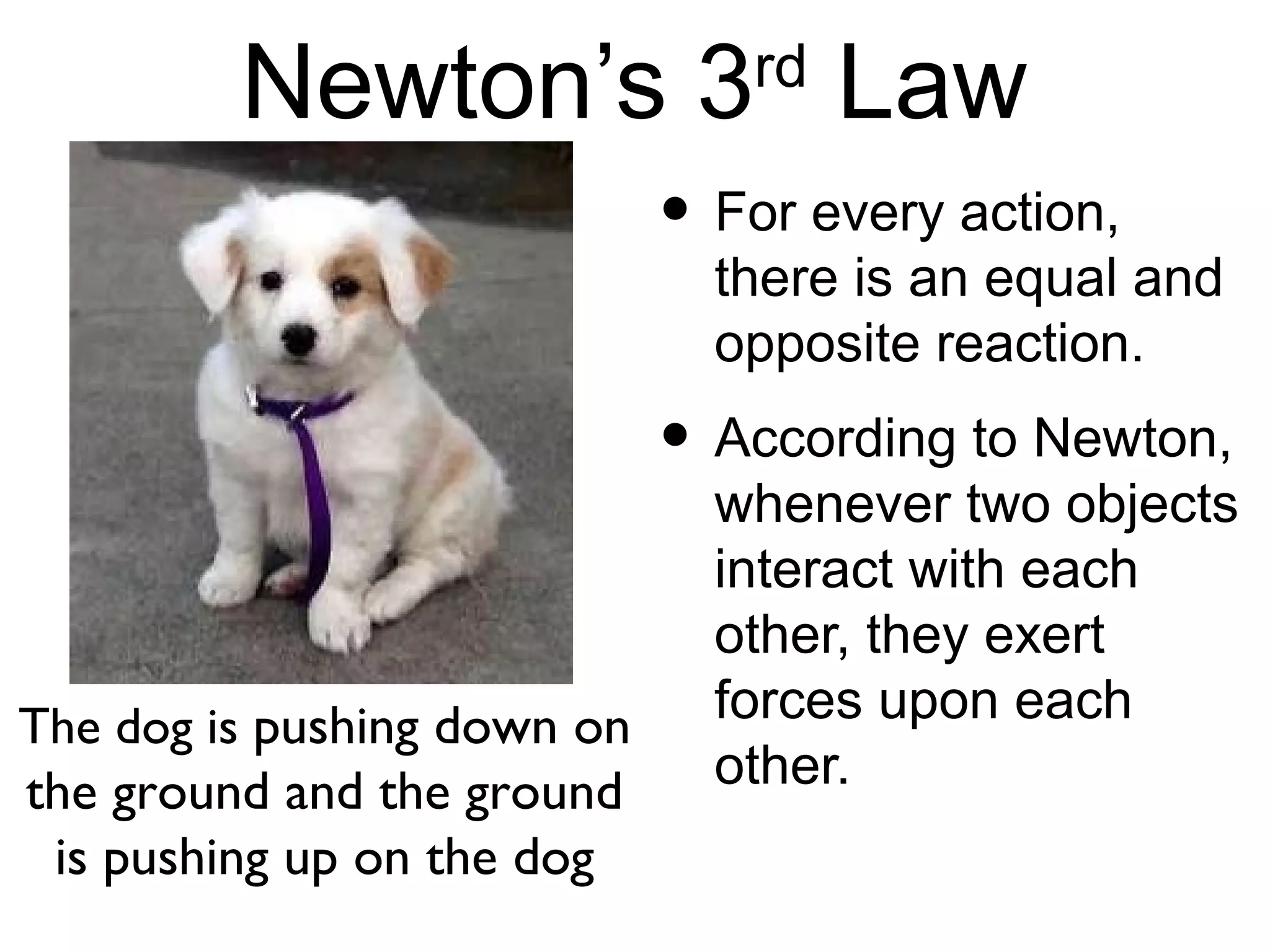 Newton’s 3 Law         rd

                             • For every action,
                               there is an equal and
                               opposite reaction.
                             • According to Newton,
                               whenever two objects
                               interact with each
                               other, they exert
The dog is pushing down on     forces upon each
the ground and the ground      other.
 is pushing up on the dog
 