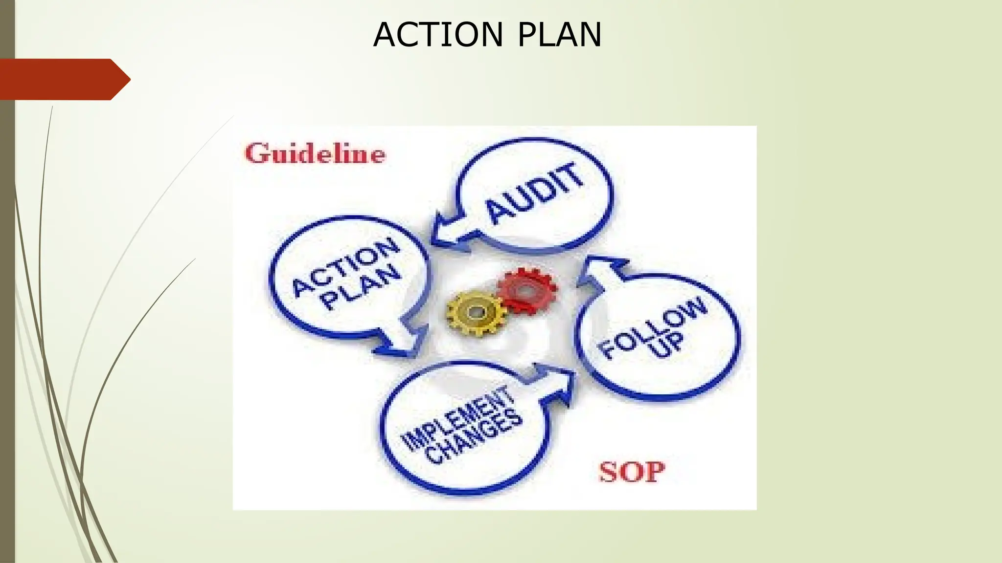 ACTION PLAN
 