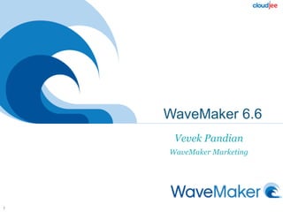 WaveMaker 6.6
7
Vevek Pandian
WaveMaker Marketing
 