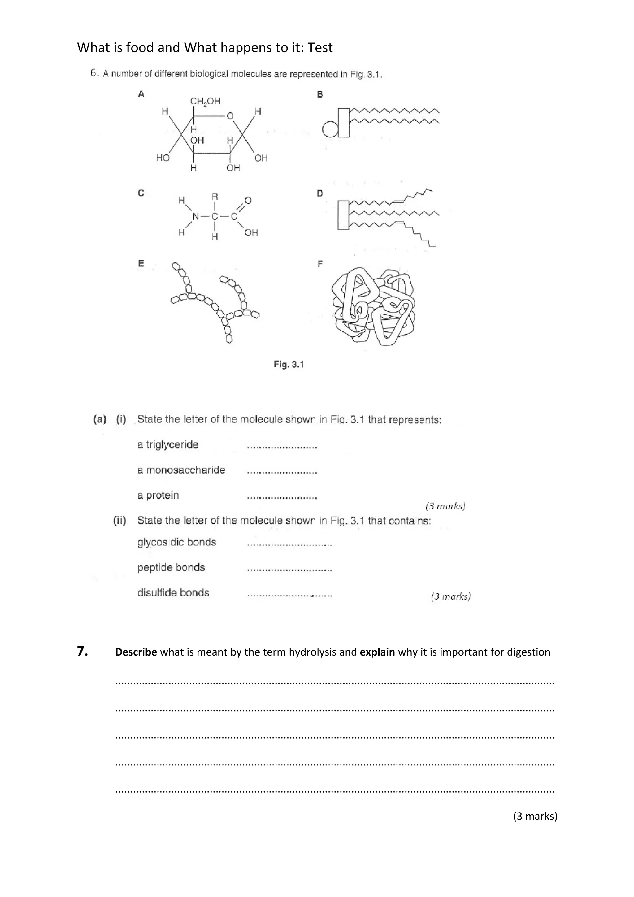 what-is-food-test-doc