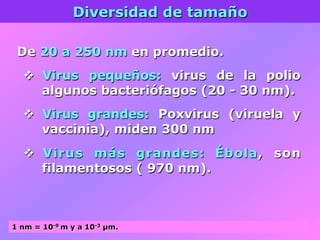 Diversidad de tamaño
De 20 a 250 nm en promedio.
v  Virus pequeños: virus de la polio
algunos bacteriófagos (20 - 30 nm).
v  Virus grandes: Poxvirus (viruela y
vaccinia), miden 300 nm
v  Virus más grandes: Ébola, son
filamentosos ( 970 nm).
1 nm = 10-9 m y a 10-3 µm.
 