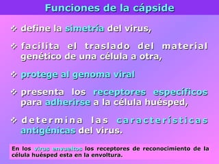 Funciones de la cápside
v  define la simetría del virus,
v  facilita el traslado del material
genético de una célula a otra,
v  protege al genoma viral
v  presenta los receptores específicos
para adherirse a la célula huésped,
v  d e t e r m i n a l a s c a r a c t e r í s t i c a s
antigénicas del virus.
En los virus envueltos los receptores de reconocimiento de la
célula huésped esta en la envoltura.
 