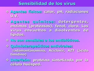 Sensibilidad de los virus
v  Agentes físicos: calor, pH, radiaciones
U.V.
v  Agentes químicos: detergentes,
enzimas (proteasas), fenol, cloro. Los
virus envueltos a disolventes de
lípidos.
v  No son sensibles a los antibióticos.
v  Quimioterapeúticos antivirales:
αadamantanamina, Aciclovir, AZT (ácido
timidina)
v  Interfeón: proteína sintetizada por la
célula huésped.
 