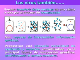 Pueden transferir ácido nucleico de una célula
a otra por el proceso de transducción.
Los virus también......
Son capaces de intercambiar información
genética.
Presentan una elevada velocidad de
replicación y mutación, convirtiéndose en la
principal fuente de innovación genética,
contribuyendo al cambio evolutivo.
 
