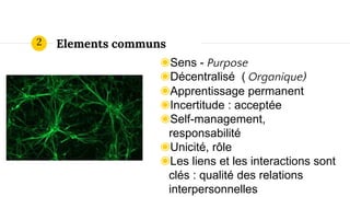 Elements communs
◉Sens - Purpose
◉Décentralisé ( Organique)
◉Apprentissage permanent
◉Incertitude : acceptée
◉Self-management,
responsabilité
◉Unicité, rôle
◉Les liens et les interactions sont
clés : qualité des relations
interpersonnelles
2
 