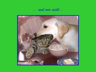 ... und wer nicht ..
 