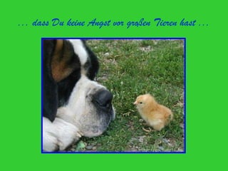 ... dass Du keine Angst vor großen Tieren hast ...
 