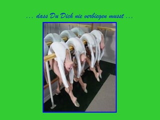 ... dass Du Dich nie verbiegen musst ...
 