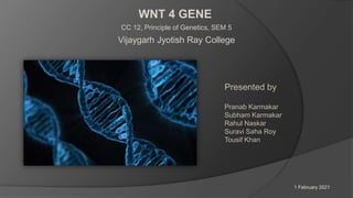 WNT 4 GENE
Vijaygarh Jyotish Ray College
CC 12, Principle of Genetics, SEM 5
Presented by
Pranab Karmakar
Subham Karmakar
Rahul Naskar
Suravi Saha Roy
Tousif Khan
1 February 2021
 