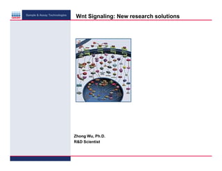 Sample & Assay Technologies

Wnt Signaling: New research solutions

Zhong Wu, Ph.D.
R&D Scientist

 