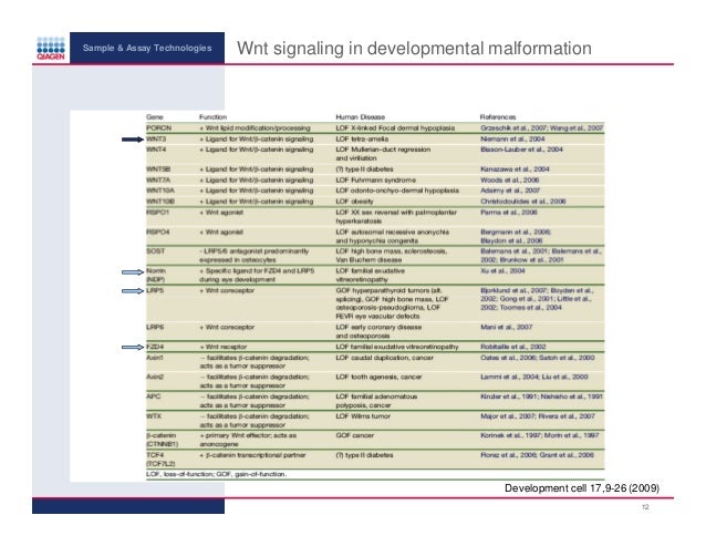 download strategic guidance