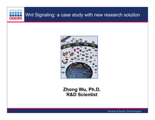 Wnt Signaling: a case study with new research solution

Zhong Wu, Ph.D.
R&D Scientist

Sample & Assay Technologies

 