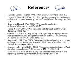 References
• Nusse R, Varmus HE (Jun 1992). "Wnt genes". Cell 69 (7): 1073–87.
• Logan CY, Nusse R (2004). "The Wnt signaling pathway in development
and disease". Annual Review of Cell and Developmental Biology 20: 781–
810.
• Komiya Y, Habas R (Apr 2008). "Wnt signal transduction
pathways“.Organogenesis 4 (2): 68–75.
• Nusse R (May 2008). "Wnt signaling and stem cell control". Cell
Research 18 (5): 523–7.
• Gordon MD, Nusse R (Aug 2006). "Wnt signaling: multiple pathways,
multiple receptors, and multiple transcription factors". The Journal of
Biological Chemistry 281 (32): 22429–33.
• Sugimura R, Li L (Dec 2010). "Noncanonical Wnt signaling in vertebrate
development, stem cells, and diseases". Birth Defects Research. Part C,
Embryo Today 90 (4): 243–56.
• Amerongen R, Nusse R (Oct 2009). "Towards an integrated view of Wnt
signaling in development". Development 136 (19): 3205–14.
• Malinauskas T, Jones EY (Dec 2014). "Extracellular modulators of Wnt
signalling".Current Opinion in Structural Biology 29: 77–84.
 