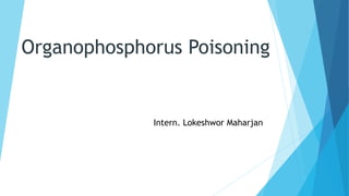 Organophosphorus Poisoning
Intern. Lokeshwor Maharjan
 