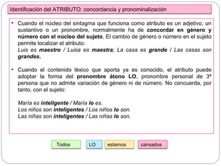 Identificación del ATRIBUTO: concordancia y pronominalización
• Cuando el núcleo del sintagma que funciona como atributo es un adjetivo, un
sustantivo o un pronombre, normalmente ha de concordar en género y
número con el núcleo del sujeto. El cambio de género o número en el sujeto
permite localizar el atributo:
Luis es maestro / Luisa es maestra; La casa es grande / Las casas son
grandes.
• Cuando el contenido léxico que aporta ya es conocido, el atributo puede
adoptar la forma del pronombre átono LO, pronombre personal de 3ª
persona que no admite variación de género ni de número. No concuerda, por
tanto, con el sujeto:
María es inteligente / María lo es.
Los niños son inteligentes / Los niños lo son.
Las niñas son inteligentes / Las niñas lo son.
Todos estamos cansadosLO
 