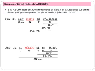 Complementos del núcleo del ATRIBUTO
• El ATRIBUTO puede ser, fundamentalmente, un S.adj. o un SN. Es lógico que dentro
de ese grupo puedan aparecer complementos del adjetivo o del nombre:
ESO ES MUY DIFÍCIL DE CONSEGUIR
Cuant. N E N
SN/T
SPr. / CN
SAdj. /Atr.
LUIS ES EL MÉDICO DE MI PUEBLO
D N E D N
SN/ T
SPr. /CN
SN/ Atr.
 