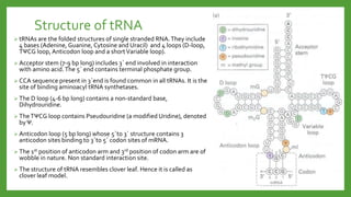 Wobble hypothesis | PPTX