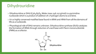 Dihydrouridine
 Dihydrouridine or DHU (C₉H₁₄N₂O₆, Molar mass 246.217 g/mol) is a pyrimidine
nucleoside which is a product of addition of 2 hydrogen atoms to a Uridine.
 It is a highly conserved modified base found in tRNA and rRNA from all the domains of
life as a nucleoside.
 Physiological role of DHU remains unknown. Dihydrouridine synthase (DUS) catalyzes
the formation of tRNA through reduction of uracil base with Flavin mononucleotide
(FMN) as a cofactor.
Dihydrouridine
 